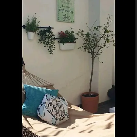 Sunshine_Loft